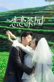 Love in the Tea Garden (2024) รักเกิดในสวนชา