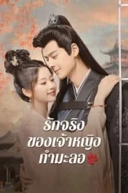 The Substitute Princess s Love (2024) รักจริงของเจ้าหญิงกำมะลอ