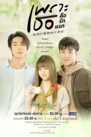 A Love So Beautiful (2024) เพราะเธอคือรักแรก