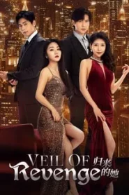 Veil of Revenge (2024) ขอรักกลับคืนใจ