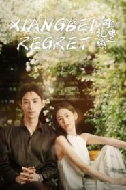 Xiangbei Regret (2024) เกสต์เฮาส์เยียวยารัก