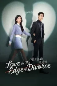 Love in the Edge of Divorce (2025) เมื่อหัวใจห่างไกลรัก