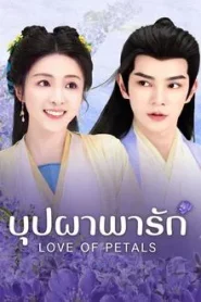 Love of Petals (2025) บุปผาพารัก