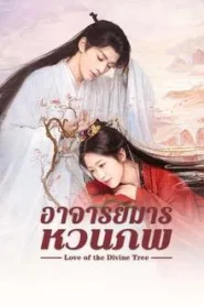 Love of the Divine Tree (2025) อาจารย์มารหวนภพ