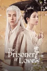 The Prisoner of Love (2025) ห้วงรักลิขิตแค้น