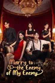 Love Never Fails (2025) พบพานอีกครายามบุปผาโปรยปราย