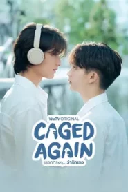 Caged Again (2024) บอกกรงๆ ว่ารักเธอ